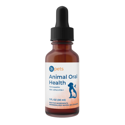Animal Oral Health