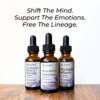 Mental Emotional Detox Kit